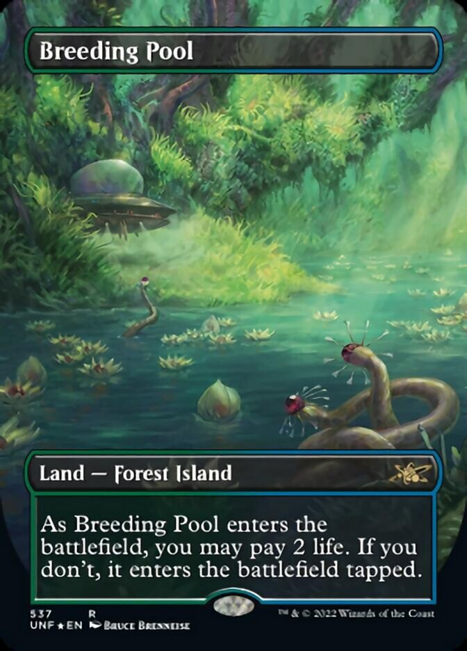 Breeding Pool (Borderless) (Galaxy Foil) [Unfinity] | Good Games North