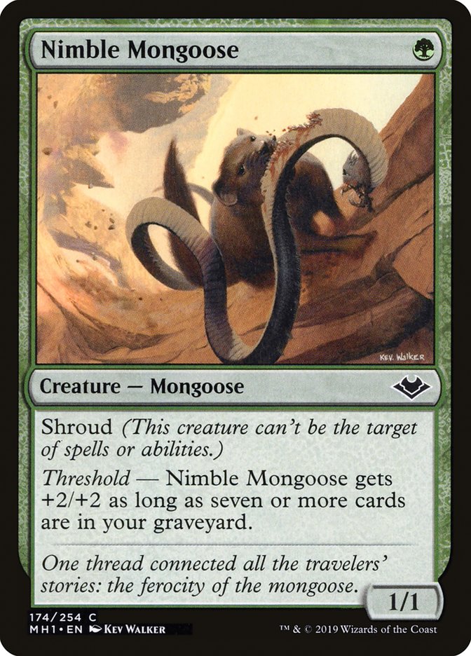 Nimble Mongoose [Modern Horizons] | Good Games North