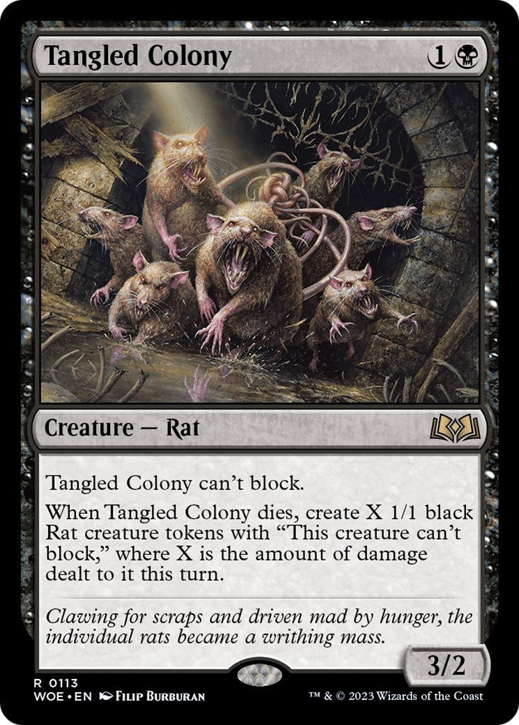 Tangled Colony [Wilds of Eldraine] | Good Games North