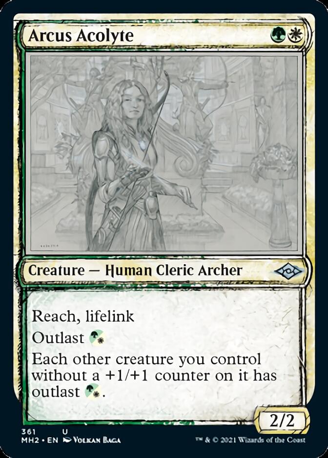 Arcus Acolyte (Sketch) [Modern Horizons 2] | Good Games North