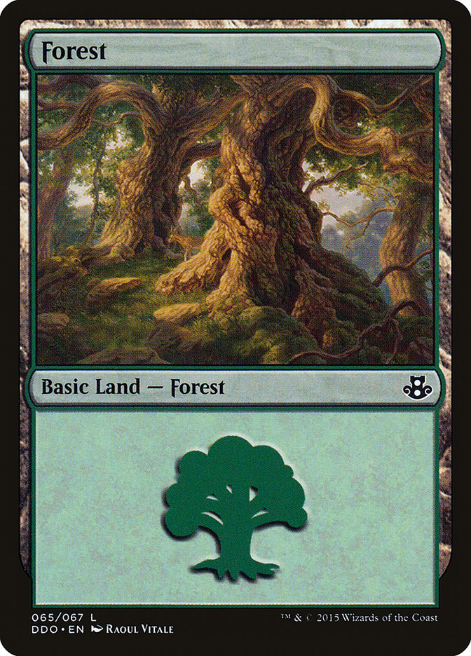 Forest (65) [Duel Decks: Elspeth vs. Kiora] | Good Games North