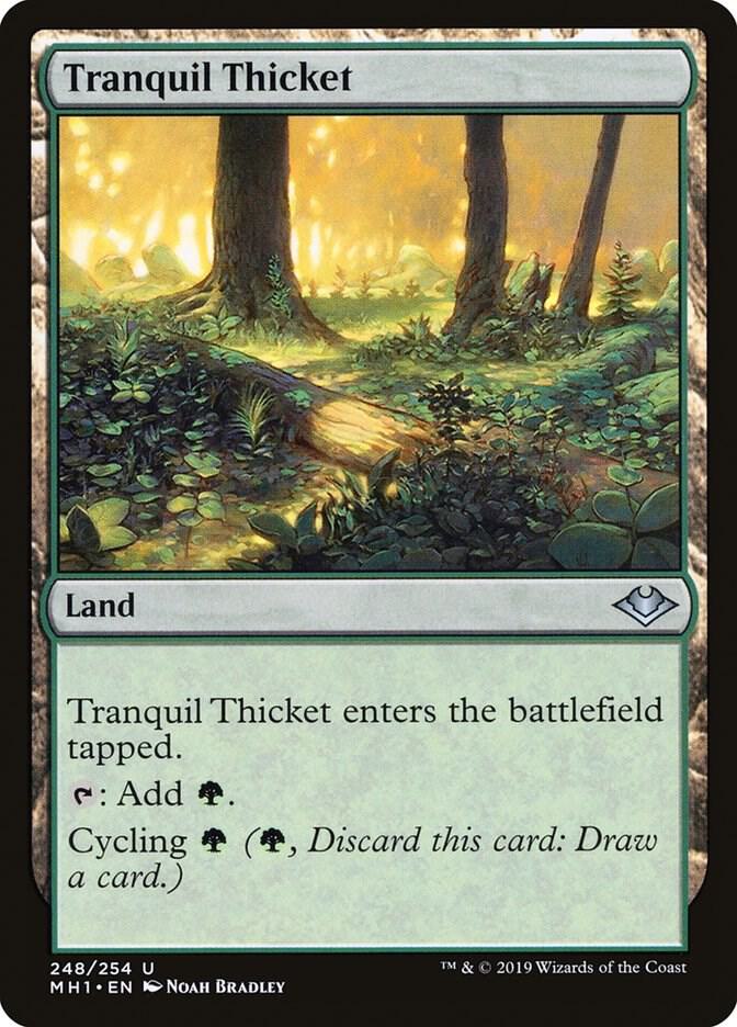 Tranquil Thicket (Modern Horizons)  - Foil | Good Games North