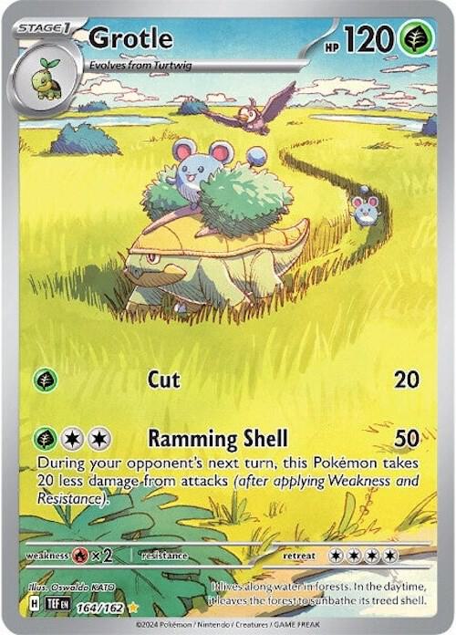 Grotle 164/162 (SV05: Temporal Forces)  - Holofoil | Good Games North