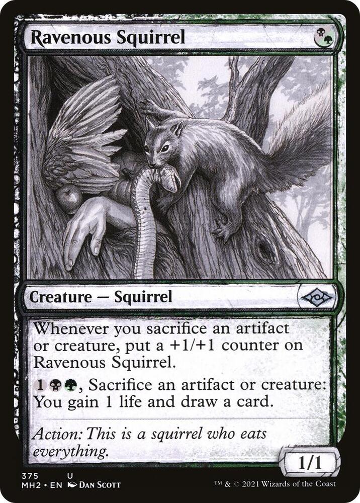 Ravenous Squirrel Showcase 375 (Modern Horizons 2)  - Foil | Good Games North