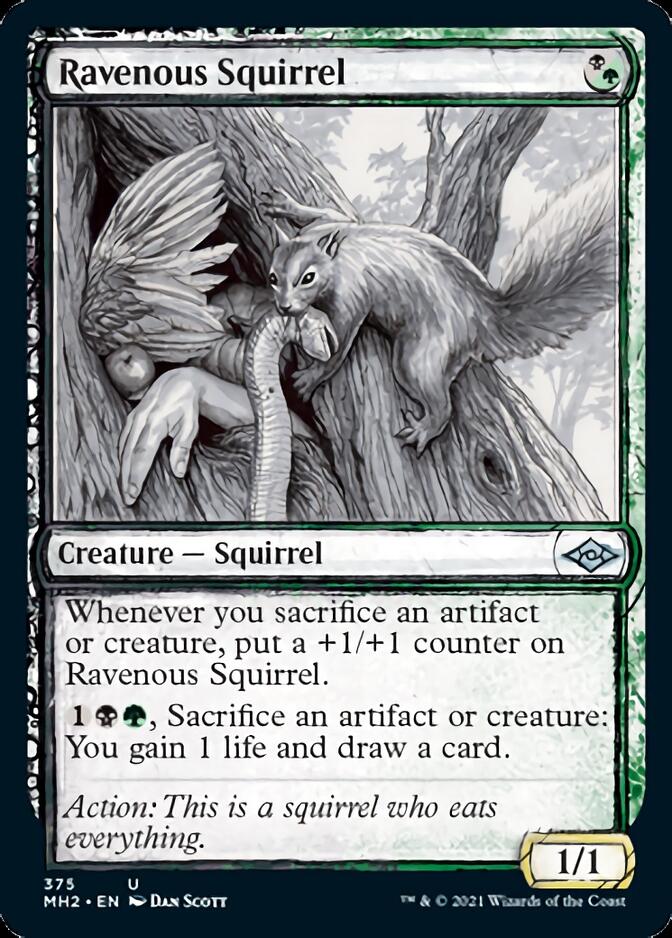Ravenous Squirrel (Sketch) [Modern Horizons 2] | Good Games North