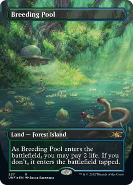 Breeding Pool Borderless Galaxy Foil 537/244 (Unfinity)  - Foil | Good Games North