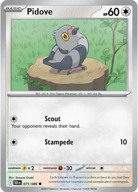 Pidove (071/086) [Scarlet & Violet: Black Bolt] | Good Games North