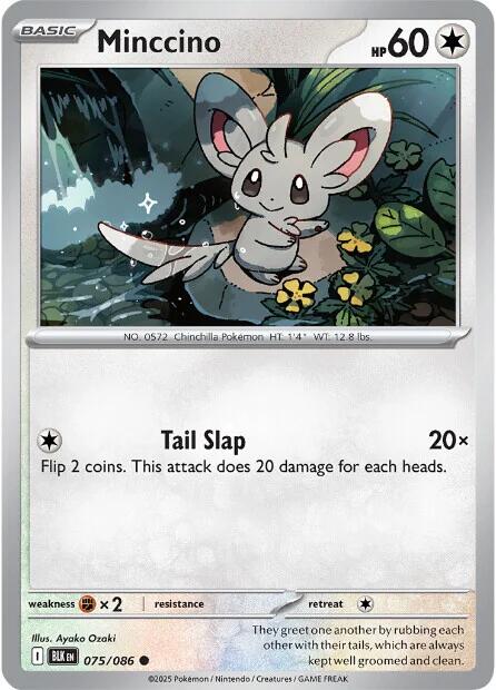 Minccino (075/086) [Scarlet & Violet: Black Bolt] | Good Games North