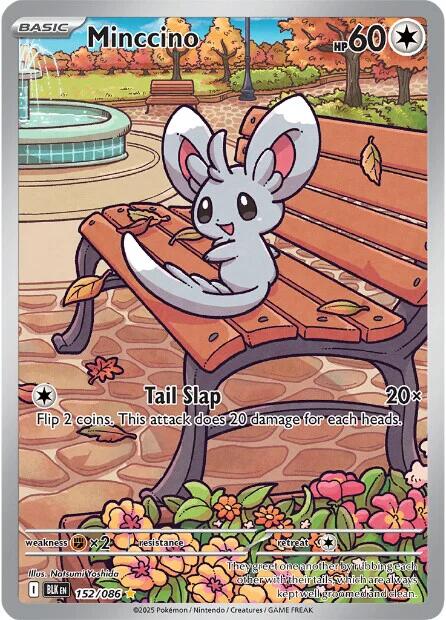 Minccino (152/086) [Scarlet & Violet: Black Bolt] | Good Games North