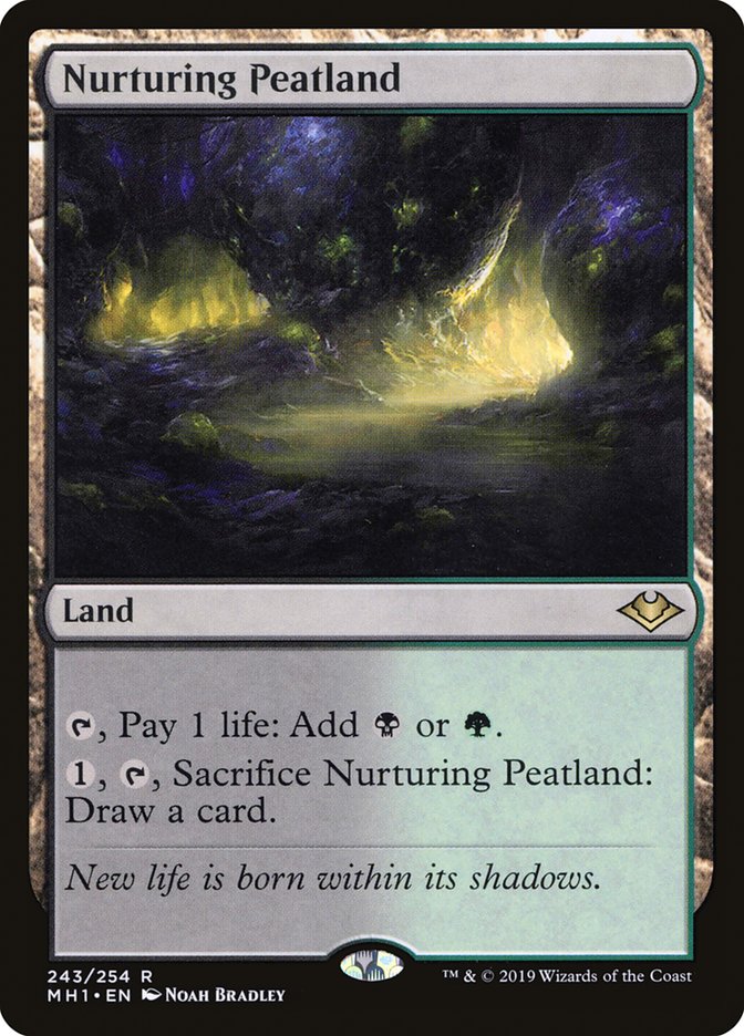 Nurturing Peatland 243 (Modern Horizons)  - Foil | Good Games North