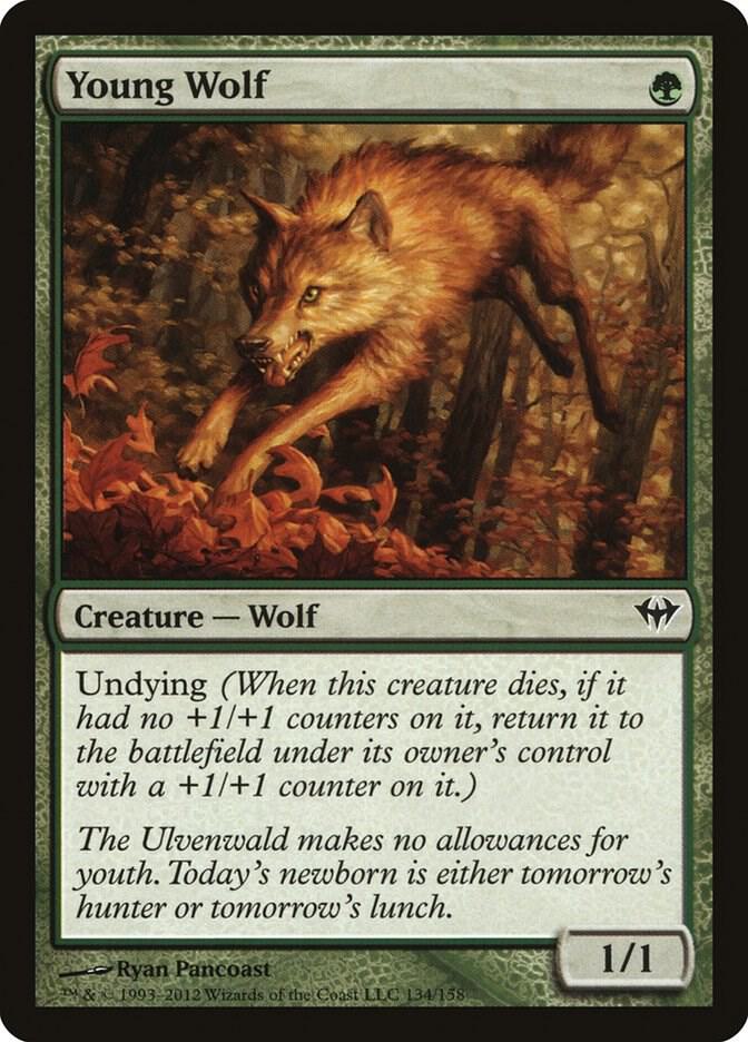 Young Wolf (Dark Ascension)  | Good Games North