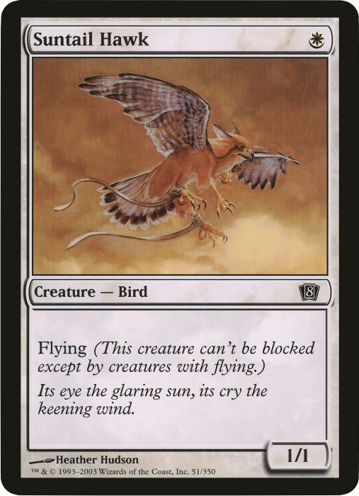 Suntail Hawk (Oversized) [Eighth Edition Box Topper] | Good Games North