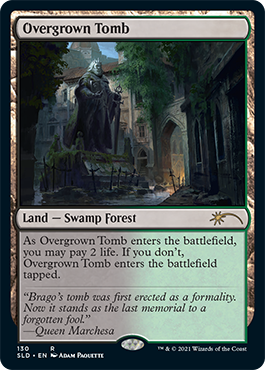 Overgrown Tomb [Secret Lair Drop Series] | Good Games North