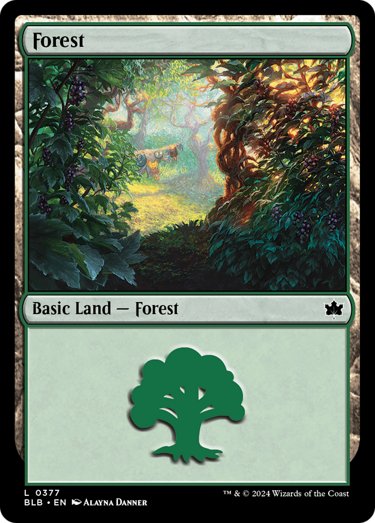Forest (0377) [Bloomburrow] | Good Games North