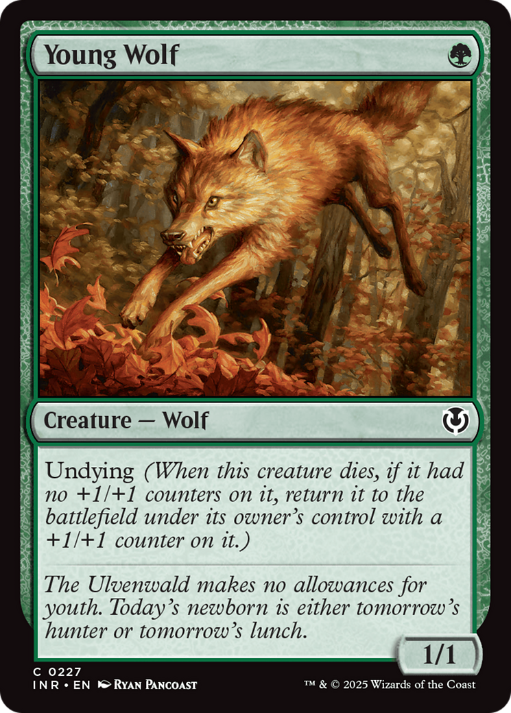 Young Wolf [Innistrad Remastered] | Good Games North