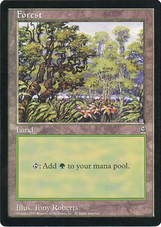 Forest (Oversized) [Oversize Cards] | Good Games North