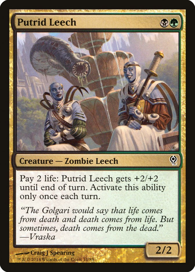 Putrid Leech [Duel Decks: Jace vs. Vraska] | Good Games North