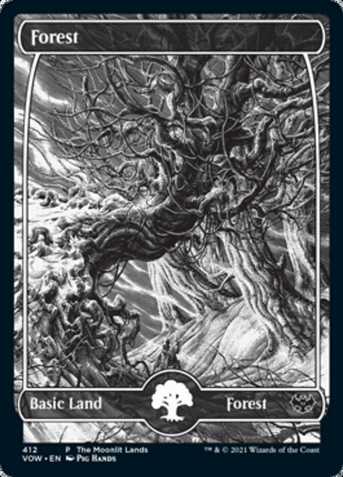 Forest (The Moonlit Lands) (Foil Etched) [Innistrad: Crimson Vow Promos] | Good Games North
