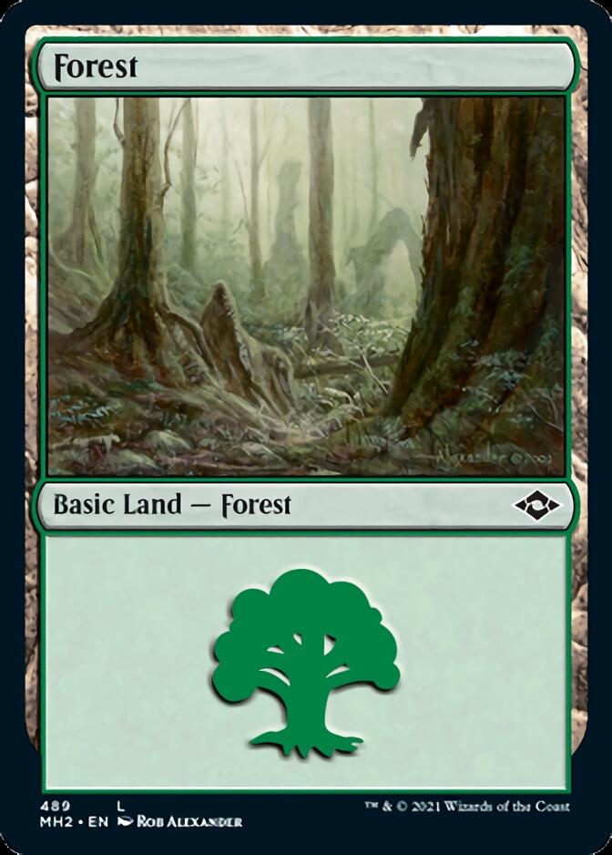 Forest (489) [Modern Horizons 2] | Good Games North