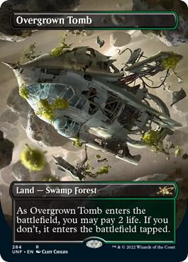 Overgrown Tomb Borderless (Unfinity)  - Foil | Good Games North