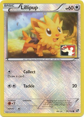 Lillipup (81/114) (League Promo) [Black & White: Base Set] | Good Games North