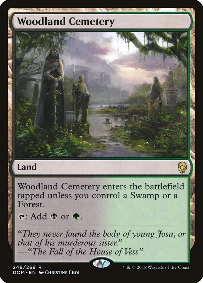 Woodland Cemetery (Dominaria)  - Foil | Good Games North