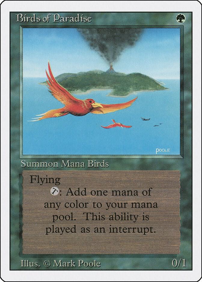 Birds of Paradise (Revised Edition)  | Good Games North