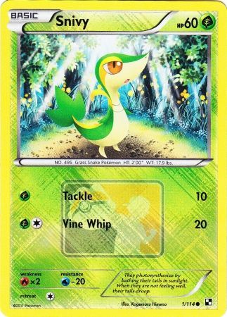 Snivy (1/114) (League Promo) [Black & White: Base Set] | Good Games North