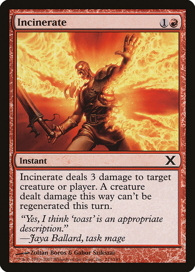 Incinerate [Tenth Edition] | Good Games North
