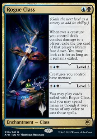 Rogue Class (Promo Pack) [Dungeons & Dragons: Adventures in the Forgotten Realms Promos] | Good Games North