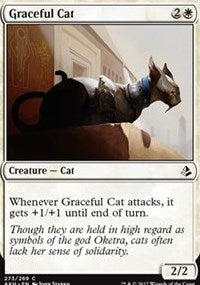 Graceful Cat [Amonkhet] | Good Games North