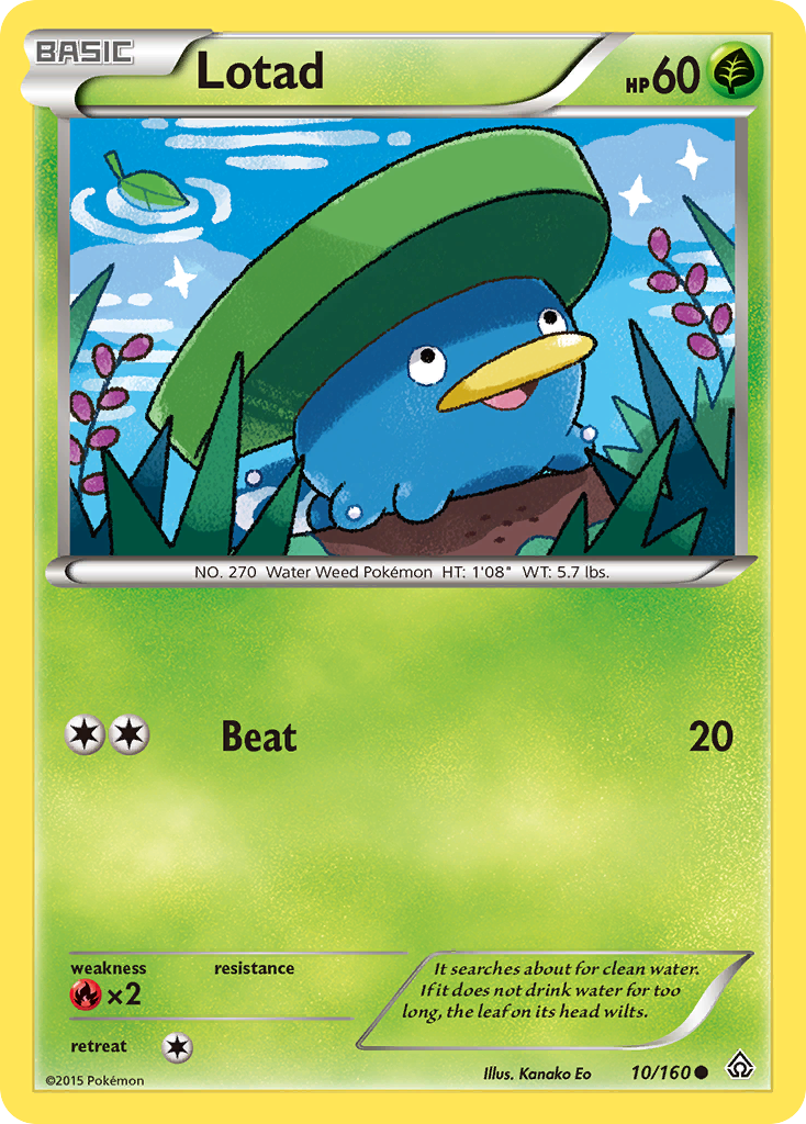 Lotad (10/160) [XY: Primal Clash] | Good Games North