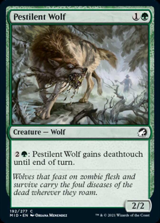 Pestilent Wolf [Innistrad: Midnight Hunt] | Good Games North