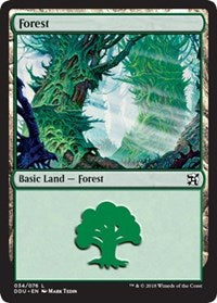 Forest (34) [Duel Decks: Elves vs. Inventors] | Good Games North