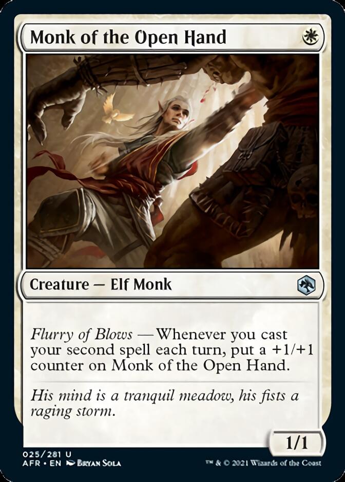Monk of the Open Hand [Dungeons & Dragons: Adventures in the Forgotten Realms] | Good Games North