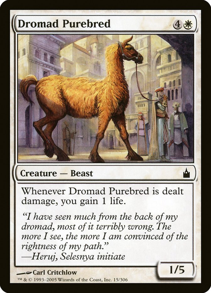 Dromad Purebred [Ravnica: City of Guilds] | Good Games North