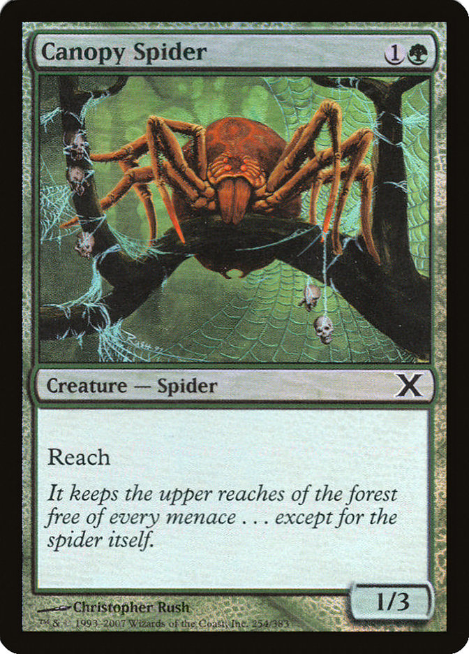 Canopy Spider (Premium Foil) [Tenth Edition] | Good Games North