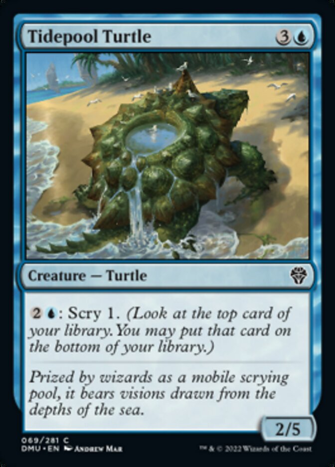 Tidepool Turtle [Dominaria United] | Good Games North