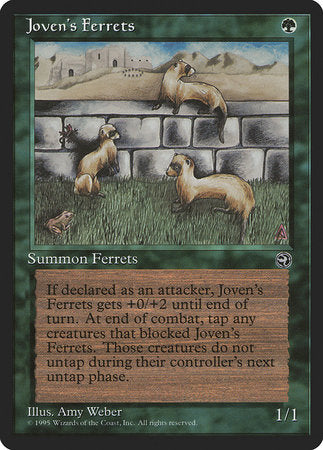 Joven's Ferrets [Homelands] | Good Games North