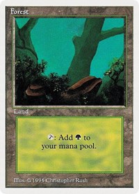 Forest (A) [Summer Magic] | Good Games North