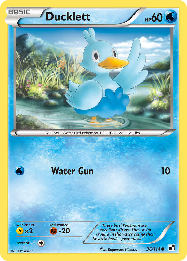 Ducklett (36/114) [Black & White: Base Set] | Good Games North