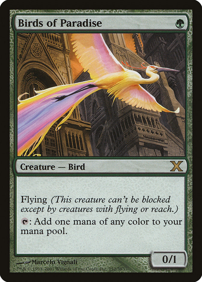 Birds of Paradise [Tenth Edition] | Good Games North