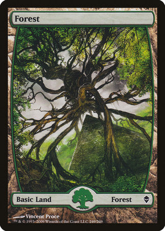 Forest (249) - Full Art [Zendikar] | Good Games North