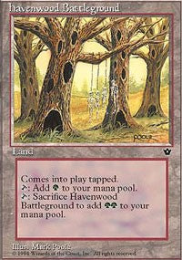 Havenwood Battleground [Fallen Empires] | Good Games North