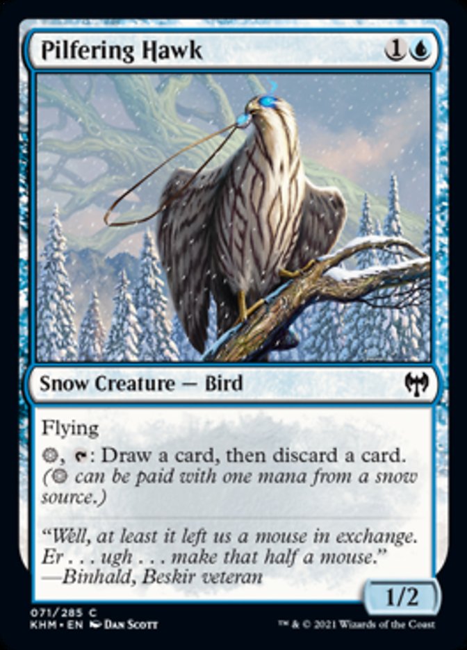 Pilfering Hawk [Kaldheim] | Good Games North