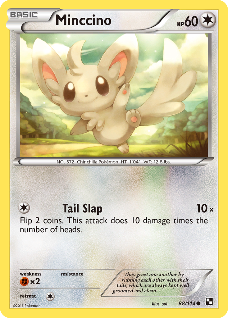 Minccino (88/114) [Black & White: Base Set] | Good Games North