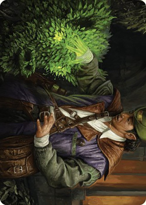 Hedge Whisperer Art Card [Murders at Karlov Manor Art Series] | Good Games North