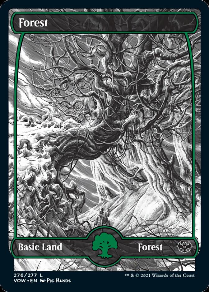 Forest (276) [Innistrad: Crimson Vow] | Good Games North