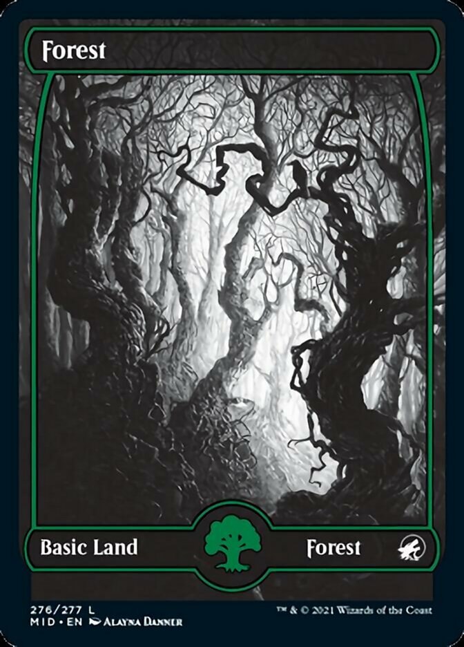 Forest (276) [Innistrad: Midnight Hunt] | Good Games North