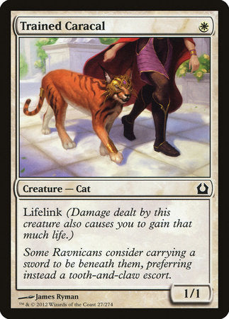Trained Caracal [Return to Ravnica] | Good Games North